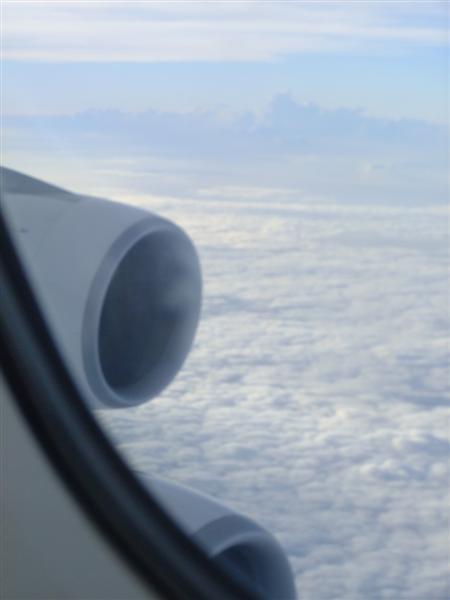DSCF9423 (Medium).JPG